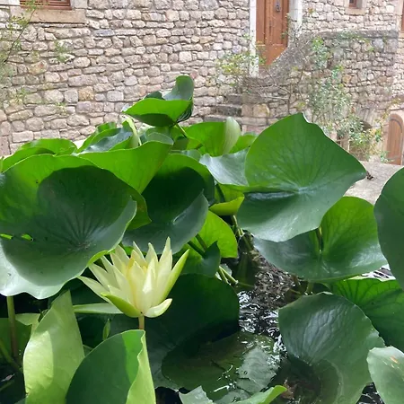 Vakantiehuis Lou Clapas Dans Village Perche Du Parc Des Grands Causses Nant